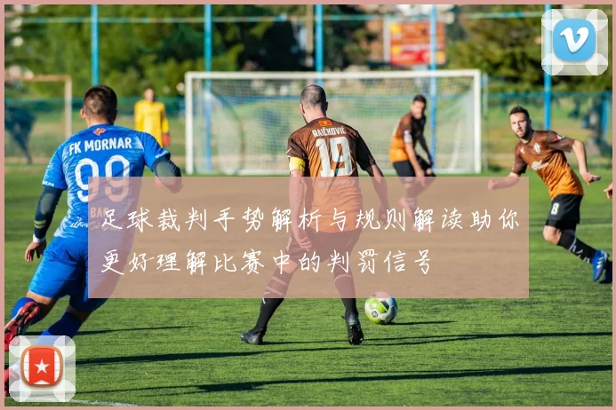 足球裁判手势解析与规则解读助你更好理解比赛中的判罚信号