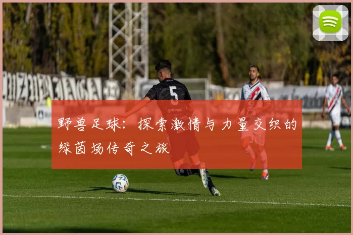 野兽足球：探索激情与力量交织的绿茵场传奇之旅