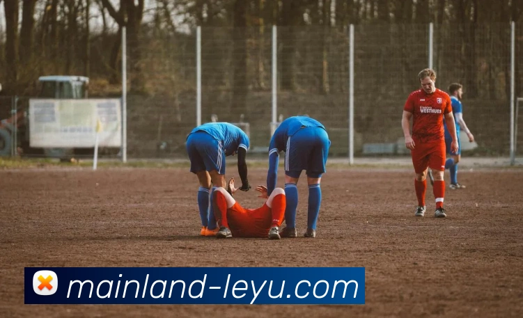 多媒体互动体验